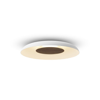 manufacturer_finish:Matte White