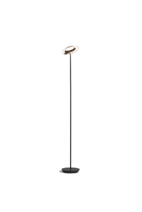 Royyo LED Floor Lamp (RYO-SW-MTB-MTB-FLR)
