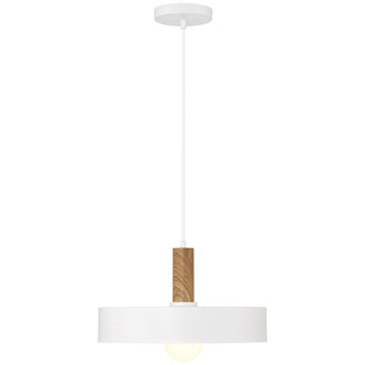 Slate One Light Pendant (23798-WH/WGN)