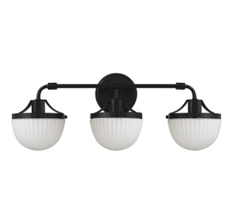 Meredith Three Light Bathroom Vanity (V6-L8-3900-3-BK)