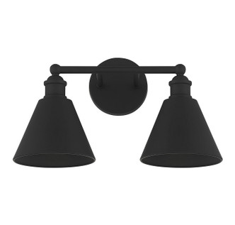 Two Light Bathroom Vanity Light (M80063MBK) Two Light Bathroom Vanity Light (M80063MBK)