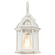 Boxwood One Light Wall Lantern (60-4961)