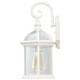 Boxwood One Light Wall Lantern (60-4961)