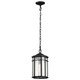 Raiden One Light Outdoor Hanging Lantern (60-5759)