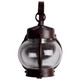 Onion Lantern One Light Wall Lantern (60-631)