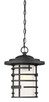 Nuvo Lighting - 60-6405 - One Light Hanging Lantern - Lansing - Textured Black