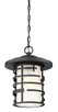 Lansing One Light Hanging Lantern (60-6405)