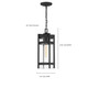 Tofino One Light Hanging Lantern (60-6574)