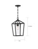Hopewell One Light Hanging Lantern (60-6594)