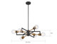 Intention Six Light Chandelier (60-6976)