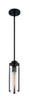 Nuvo Lighting - 60-7160 - One Light Pendant - Marina - Matte Black