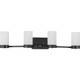 manufacturer_finish:Black