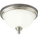 manufacturer_finish:Brushed Nickel