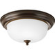 manufacturer_finish:Antique Bronze|manufacturer_glass:Etched