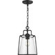 Benton Harbor One Light Hanging Lantern (550065)