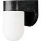 Polycarbonate Outdoor One Light Wall Lantern (5817)