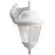 manufacturer_finish:White|manufacturer_glass:Clear seeded|light_source:Incandescent|light_output:Unspecified|color_temperature:Unspecified|cri:Unspecified