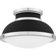 manufacturer_finish:Matte Black|manufacturer_glass:Etched Glass