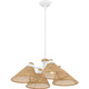 Quoizel Pendant Four Light Pendant (QP6218W)