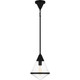 manufacturer_finish:Matte Black|manufacturer_glass:Clear Glass
