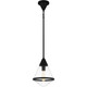 manufacturer_finish:Matte Black|manufacturer_glass:Clear Glass