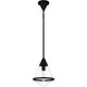 manufacturer_finish:Matte Black|manufacturer_glass:Clear Glass