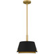 manufacturer_finish:Matte Black|manufacturer_glass:Metal