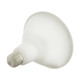 Light Bulb (S11258)