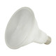 Light Bulb (S11258)