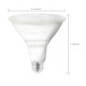 Light Bulb (S11258)