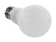 Light Bulb (S11412)