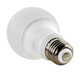 Light Bulb (S11412)