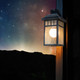 Light Bulb (S11427)