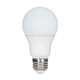 Light Bulb (S11434)