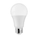 Light Bulb (S11438)
