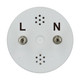 Light Bulb (S11962)