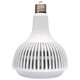 Light Bulb (S23112)