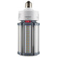 Light Bulb (S23163)