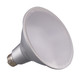 Light Bulb (S29455)