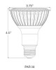 Light Bulb (S29765)