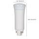 Light Bulb (S29859)