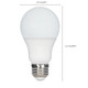 Light Bulb (S39596)