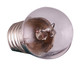 manufacturer_finish:Clear|manufacturer_glass:Clear