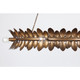 Heiress Eight Light Chandelier (1-4681-8-102)