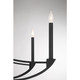 Preserve Eight Light Chandelier (1-6415-8-89)