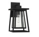 Denver One Light Outdoor Wall Lantern (5-2021-BK)
