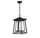 Denver One Light Outdoor Hanging Lantern (5-2025-BK)