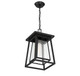Denver One Light Outdoor Hanging Lantern (5-2025-BK)