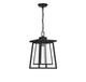 Denver One Light Outdoor Hanging Lantern (5-2025-BK)