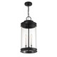 Englewood Three Light Outdoor Hanging Lantern (5-901-BK)